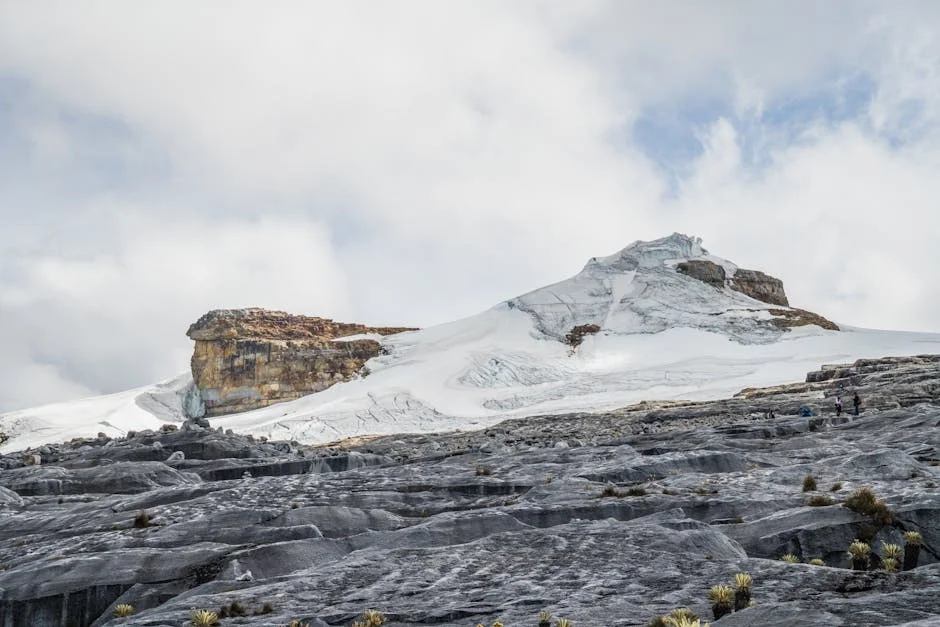 Meteorological Organisation Warns El Niño Could Return — What This Means for Africa — Economy Business