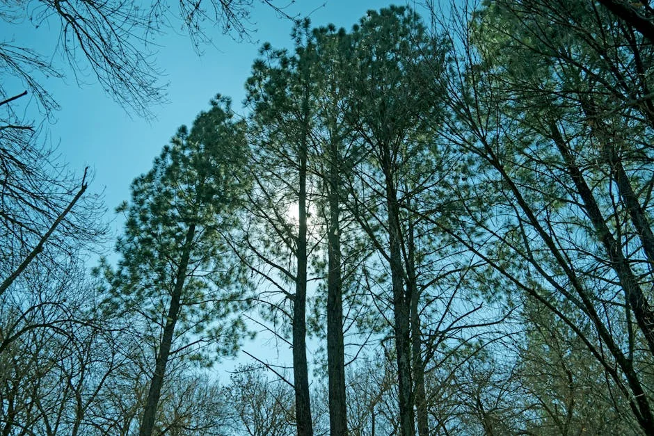 Midrand Residents Demand Answers as Water Crisis Deepens: What It Means for Governance — Economy Business