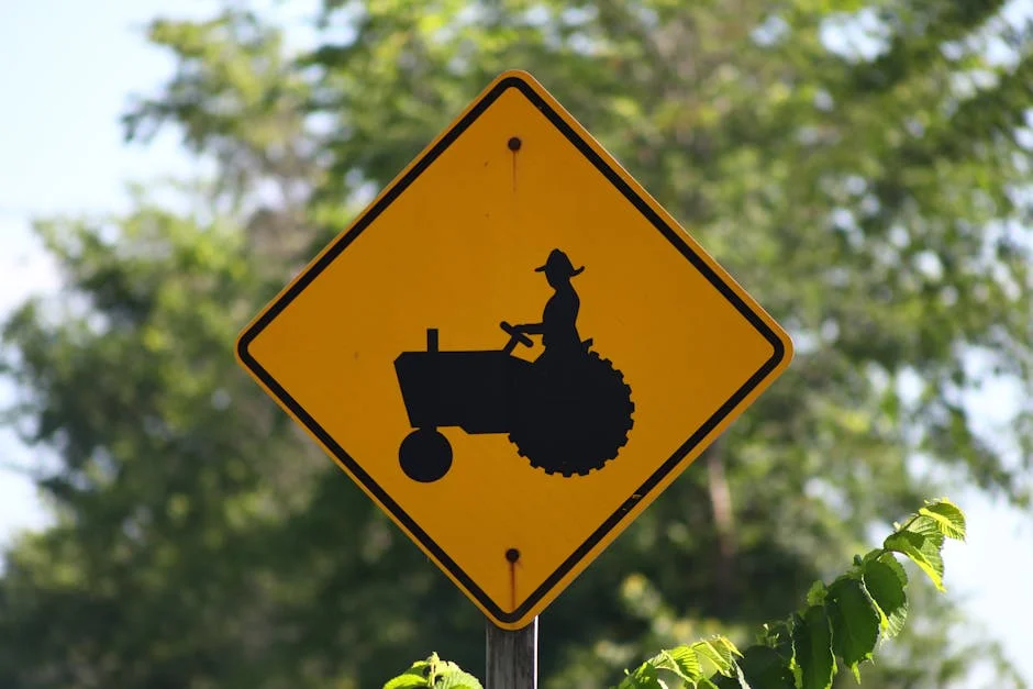 Mónica Seabra Mendes Warns: Luxury Sector Demands Strong Leadership for Africa's Development — Economy Business