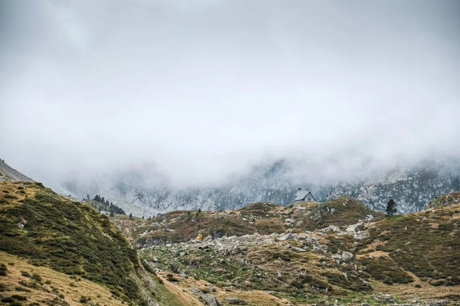 Montenegro and Ministers Forge Climate Alliance with Spain: What It Means for Africa — Economy Business