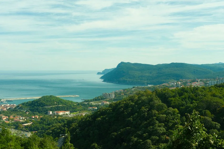 Montenegro's Budget Clash: Manuel Pureza Challenges Government Over Promises — Economy Business