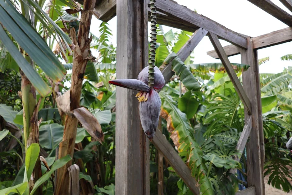 Musa Mseleku Reveals Stunning Aerial Views of Umzumbe Estate — Here's What It Means — Economy Business