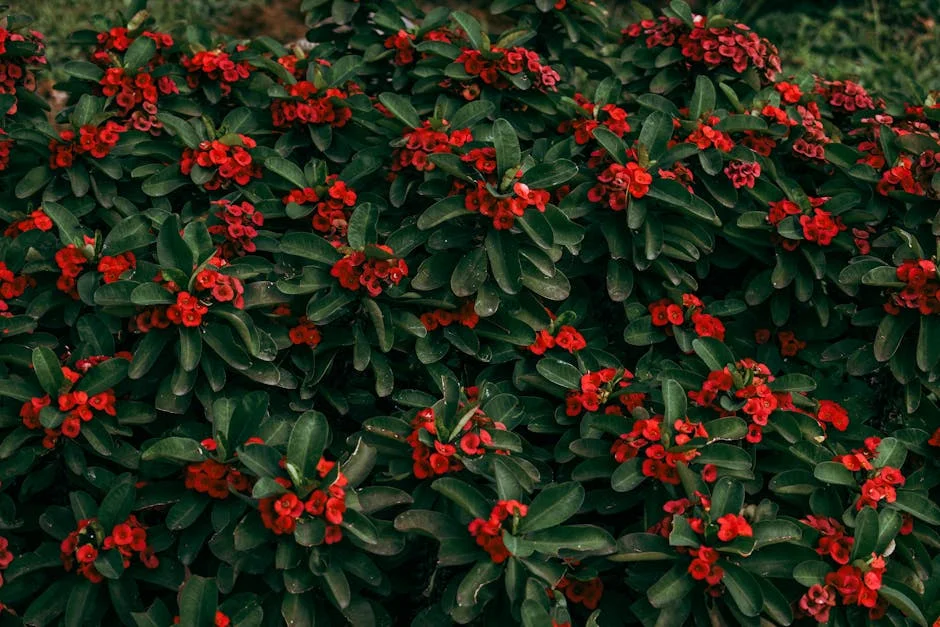 Mysuru’s Mobile Procession Unit Paves Way for Northeast Development