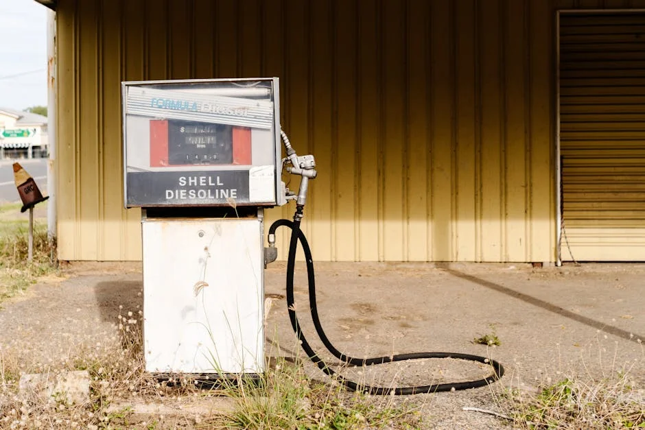 Mzansi Celebrates Miriam Makeba’s 94th Birthday — Reflecting on Her UN Legacy — Economy Business