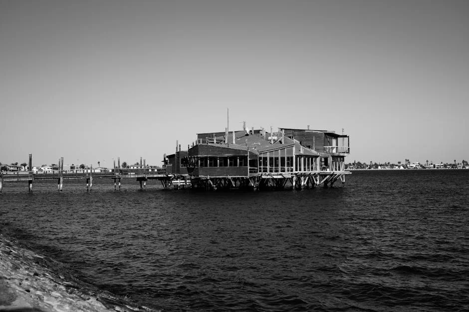 Namibia's Green Energy Dream Poses Risk to Penguins - What You Need to Know — Environment Nature