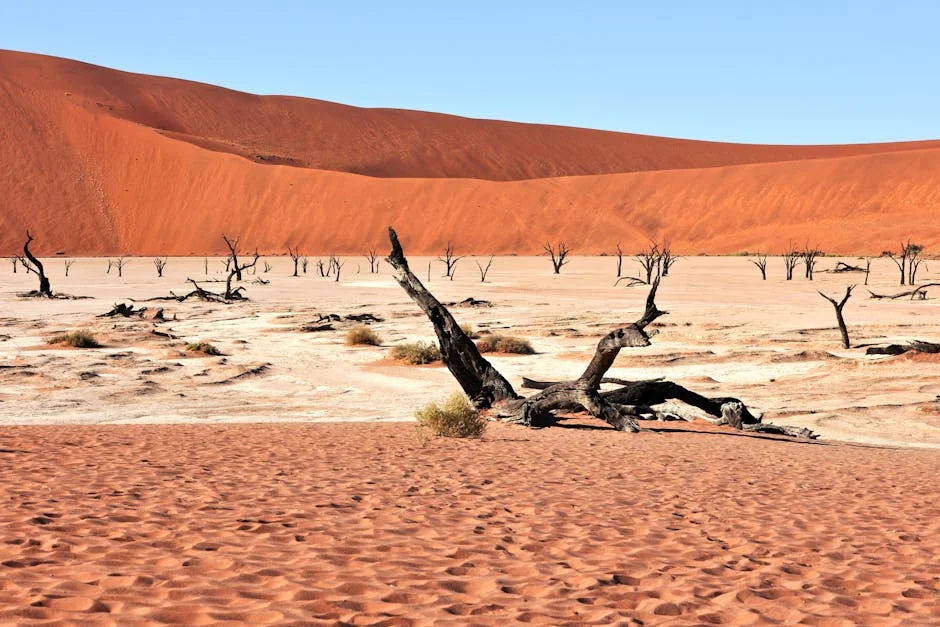 Namibia's Land Reform Delivers Tangible Results