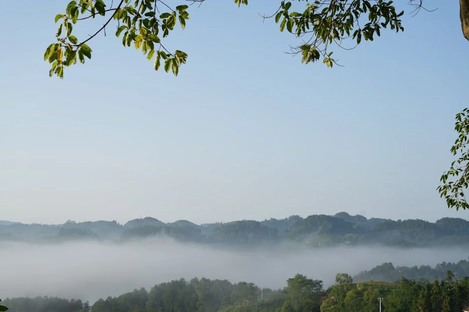 Nasarawa Launches Polio Campaign Targeting Over One Million Children — Economy Business