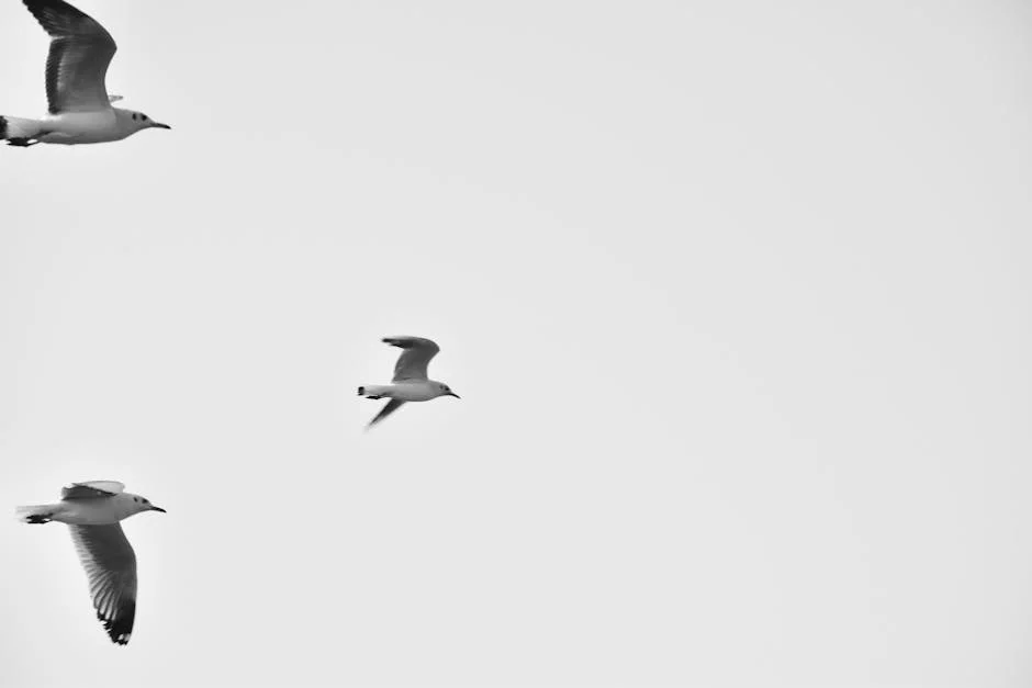 Navi Mumbai Tuition Class Ceiling Collapse Claims Life, Highlights Infrastructure Gaps