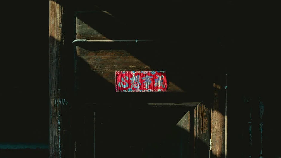 Navy Researchers Discover 500-Year-Old Shipwreck Off GB Coast — Economy Business