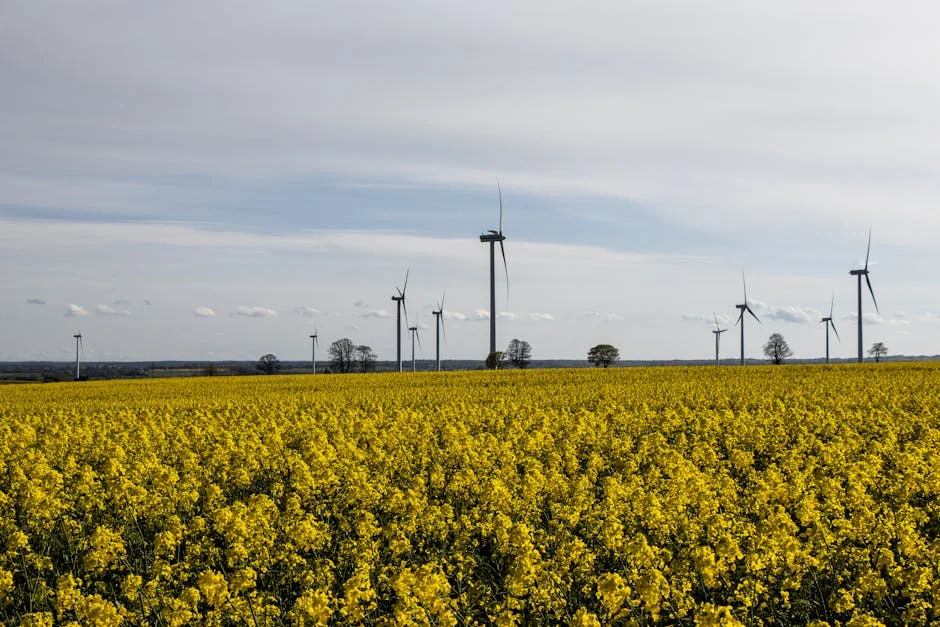 Neste Launches Green Fuel Project in Lagos — Aiming for 30% Emission Cut by 2030 — Economy Business