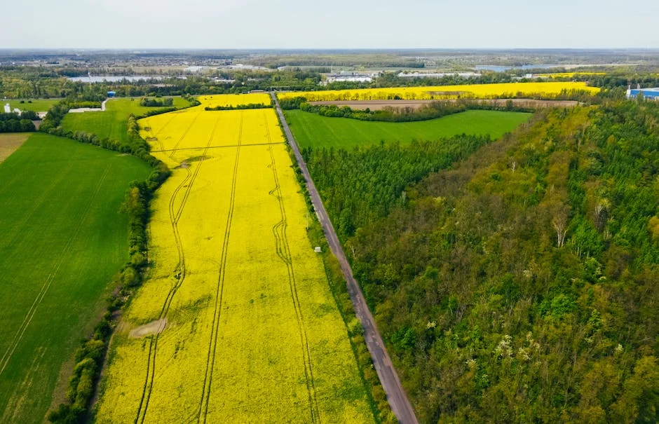 Neste Launches Green Fuel Project in Lagos — and Nigeria’s Climate Goals Shift — Economy Business