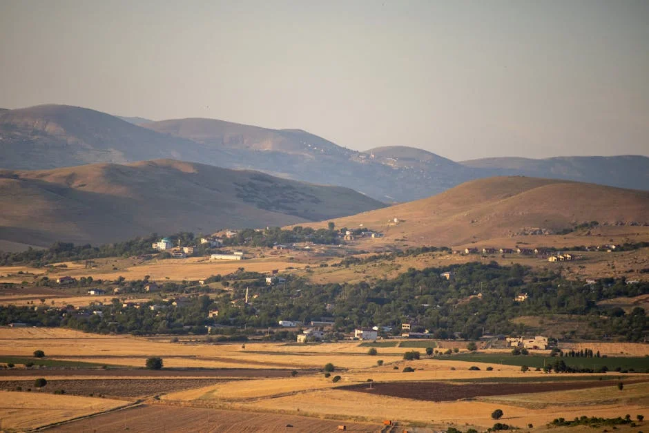 New Zealand Seals Defence Pact With Cook Islands Amid China Tensions — Economy Business