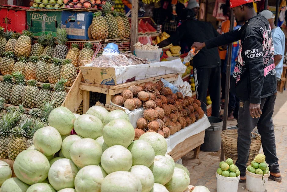 Nigeria Announces Powerball Results Amid Rising Lottery Interest — Economy Business