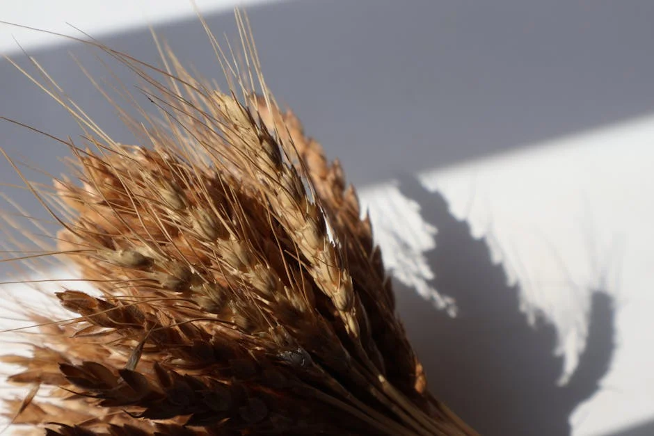 Nigeria Bans Wheat Imports — and Prices Are Already Rising — Economy Business