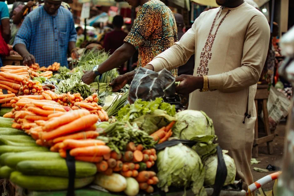 Nigeria Launches Procurement Ethics Training in Schools to Curb Waste — Economy Business