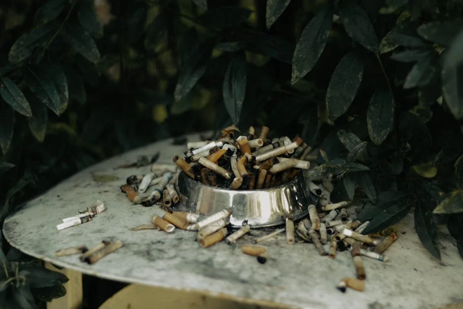 Nigerian Authorities Shut Down Illegal Waste Management Firm — What It Means for Sustainability — Economy Business