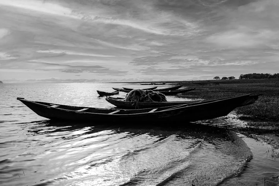 Nigerian Fishing Festival Celebrates Tradition While Highlighting Economic Potential — Economy Business