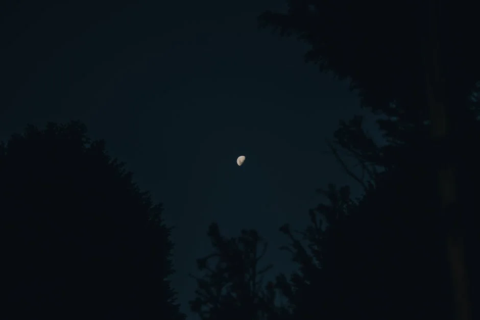 Nigeria's Artemis II Team Heads to the Moon Amid Tech Leap — Economy Business