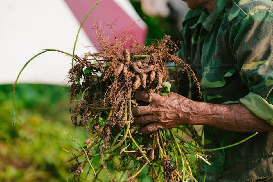 Nigeria's Farming Crisis Exposes the Gap Between Policy and Reality — Environment Nature