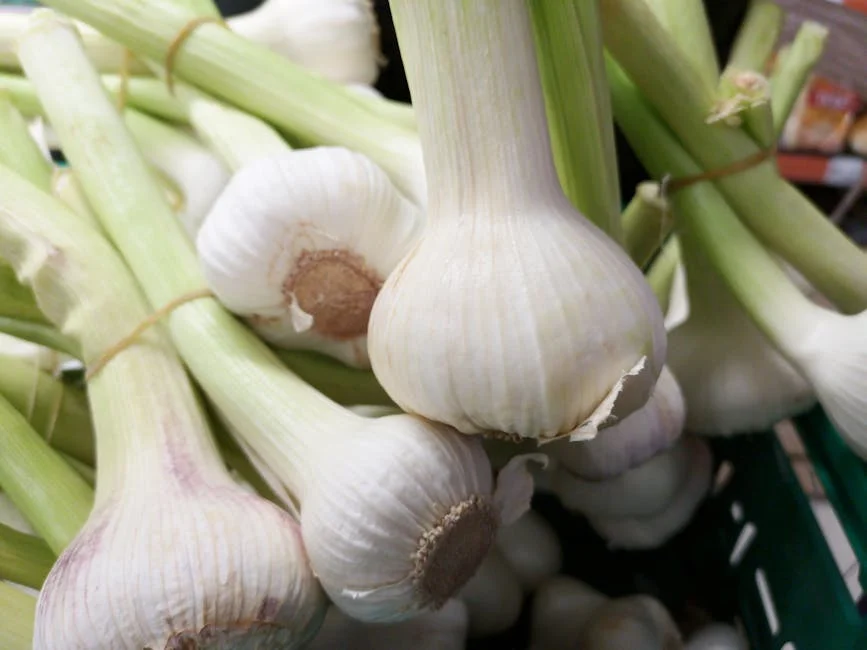 Nigeria's Fashion Sector Seizes Onion Bag Trend — Here's The Economic Impact — Economy Business