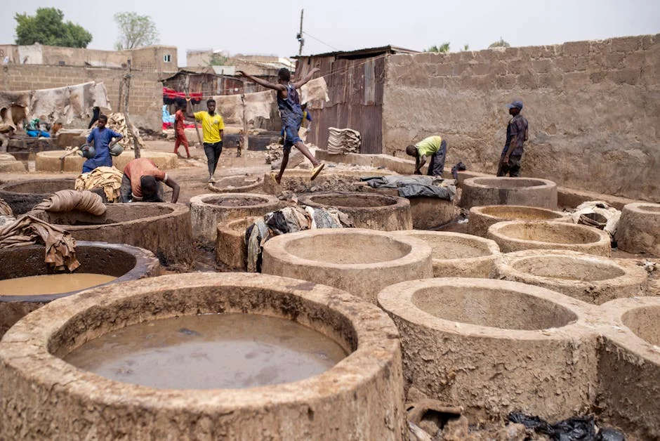 Nigeria's NDIC Launches Liquidation of 89 MFBs — 2024 Deadline Looms — Economy Business