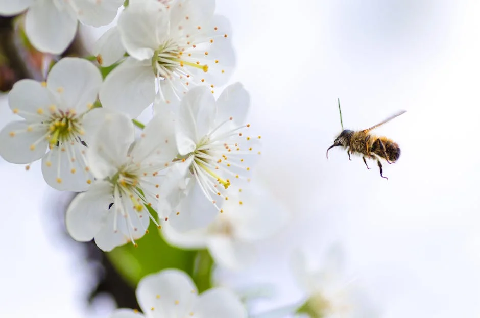 Nigeria's Pollen Surge Threatens Productivity — Here Is How to Cope — Economy Business