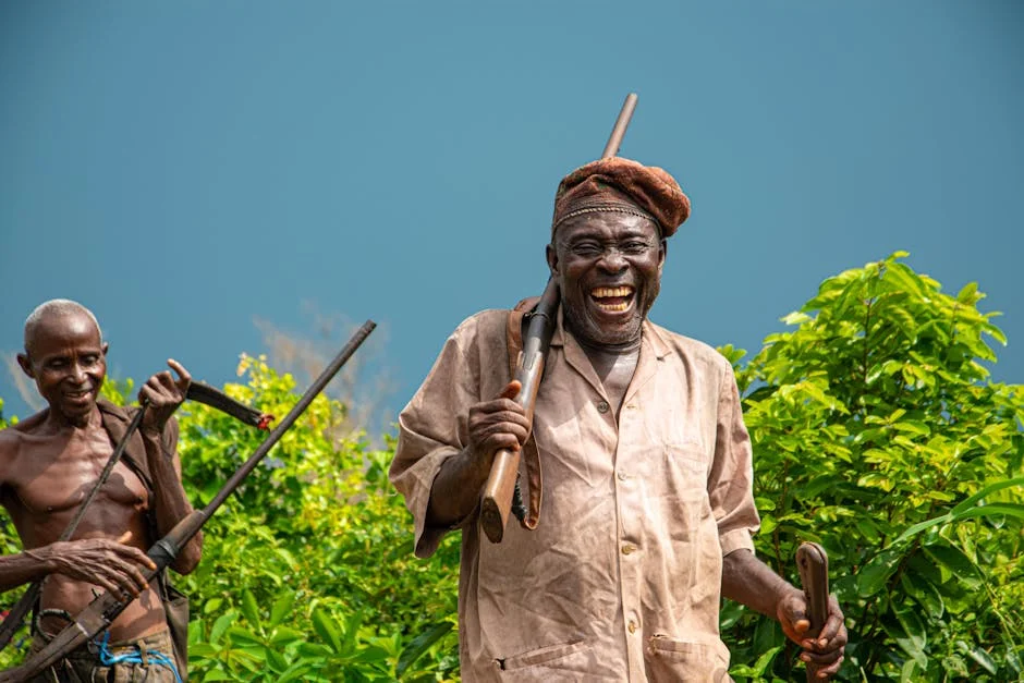 Observador Launches New Platform — Boosting African Media Landscape — Economy Business