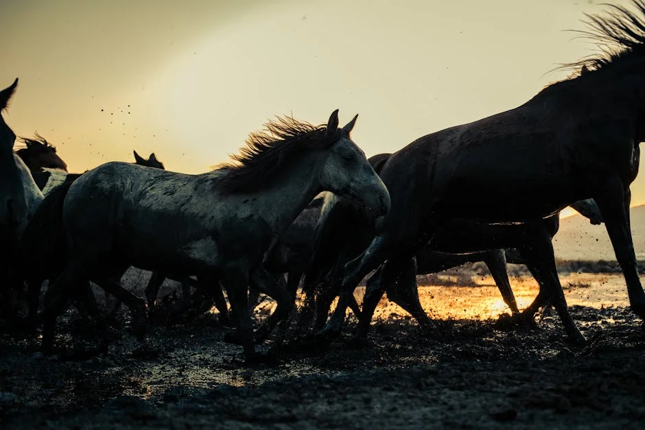 One Year On: Iberian Blackout Spurs Energy Reforms — Africa Takes Note — Economy Business