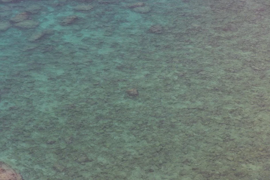 Pacific Coral Project Reveals Concrete Hope for Africa’s Dwindling Reefs