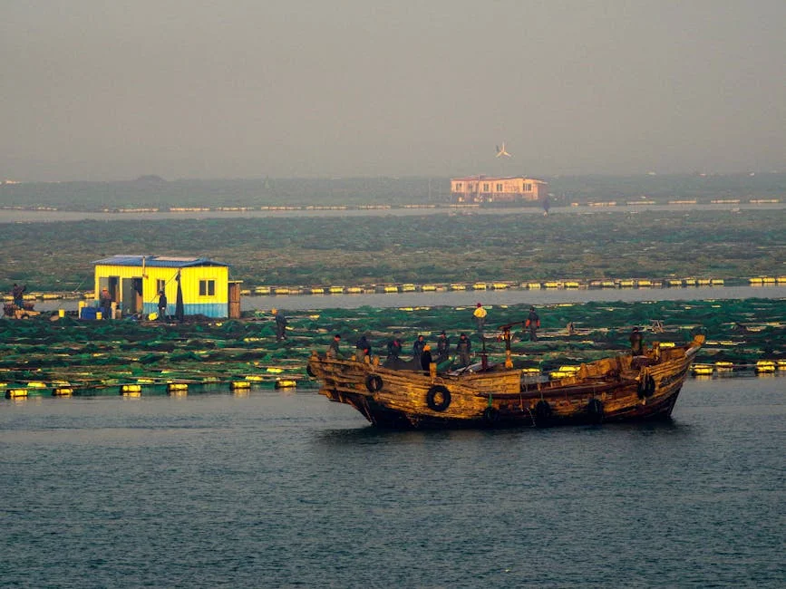 Pakistan Defies Trump's Hormuz Blockade by Opening 6 Land Routes to Iran — Economy Business