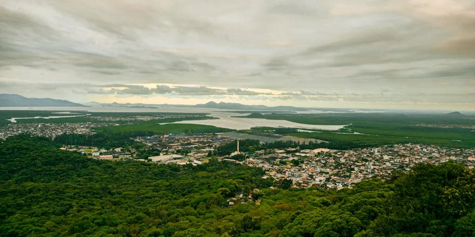 Palma Ramalho Slams CGTP Over Labor Law Negotiations — Economy Business