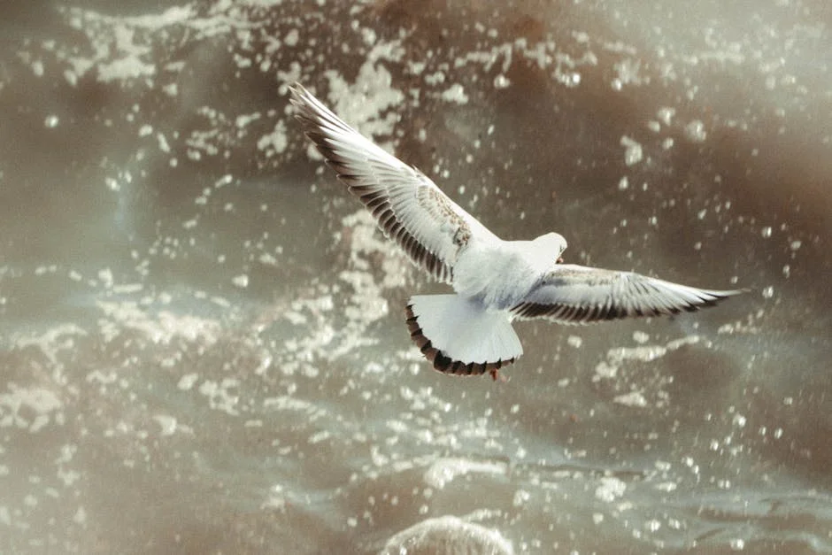 Pedro Vasconcelos Exposes Soares' Appetite for Influence in Nigeria — Here's What It Means — Economy Business