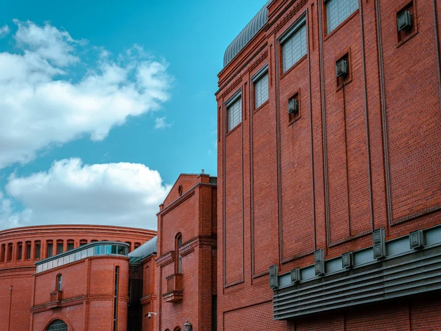 Poland's Lewandowski Shocks Italy in Historic Match — and Fans Are Talking — Economy Business