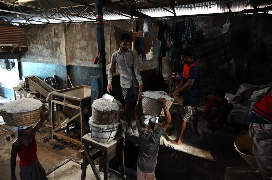 Polling Staff Suspended in Bengal — Raises Security Concerns for African Elections — Economy Business