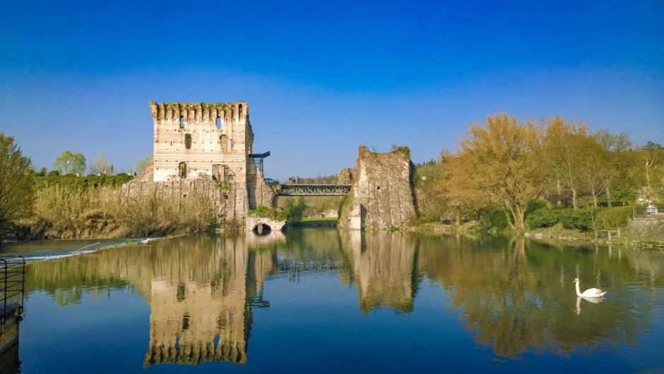 Ponte de Lima honours António Feijó: What it means for African development — Economy Business