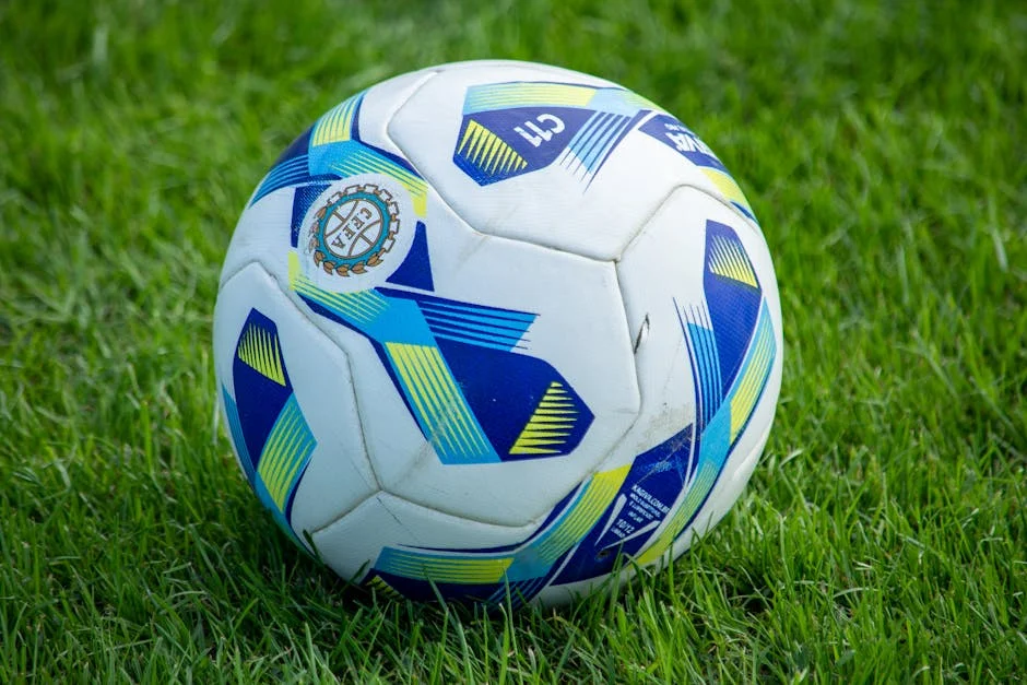 Porto vs Sporting Live Stream: Where to Watch in Nigeria — Economy Business