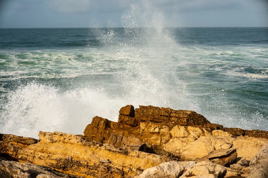 Portugal Faces Power Outage — Sparks Energy Sovereignty Debate — Economy Business