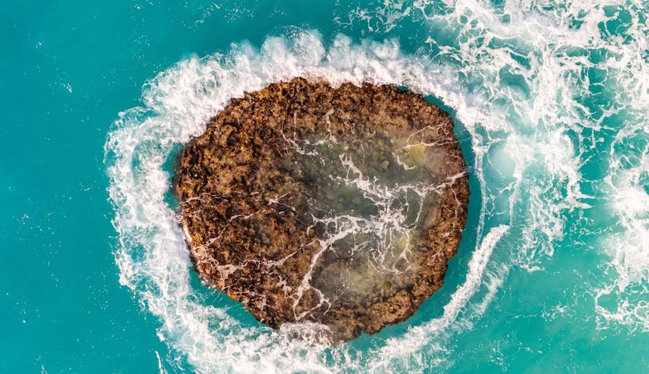 Portugal Returns $3 Million to Angola: A Step Forward in Anti-Corruption Efforts — Economy Business