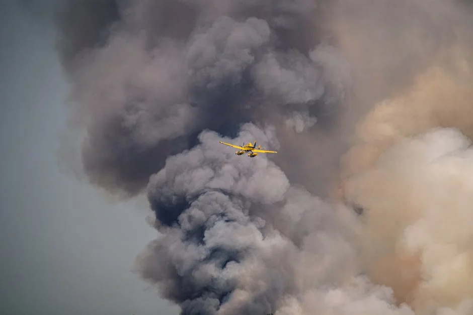 Portugal Showcases 13 Galleries at ARCOmadrid: What This Means for African Art — Economy Business