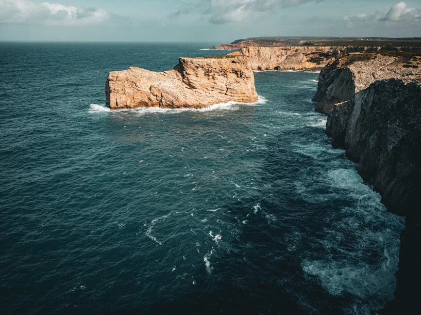 Portugal Unveils Algae Tech to Purify Water, Cites 70% Efficiency — Economy Business