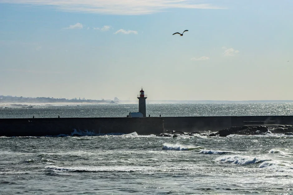 Portugal Weather Crisis Warns Africa on Climate Infrastructure Gaps — Technology Innovation