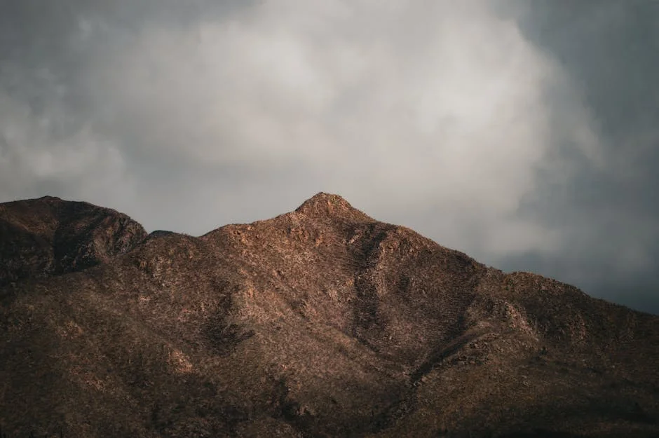 Portugal's Cybersecurity Prowess Shines as Expert Cruz Pinto Highlights University Leadership