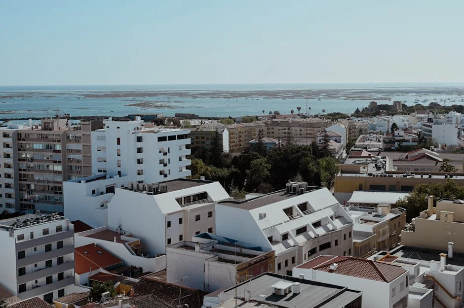 Portugal's PT Restructures Telecommunications Amid Digital Divide Fears — Economy Business