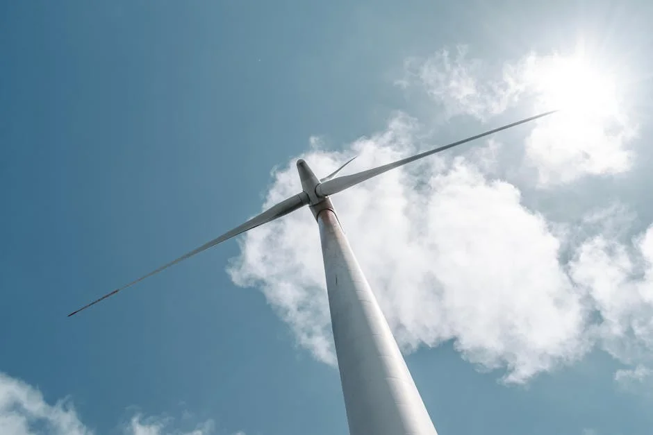 Portugal's Renewables Power 78.5% of Grid in Q1 — A Model for Africa — Economy Business