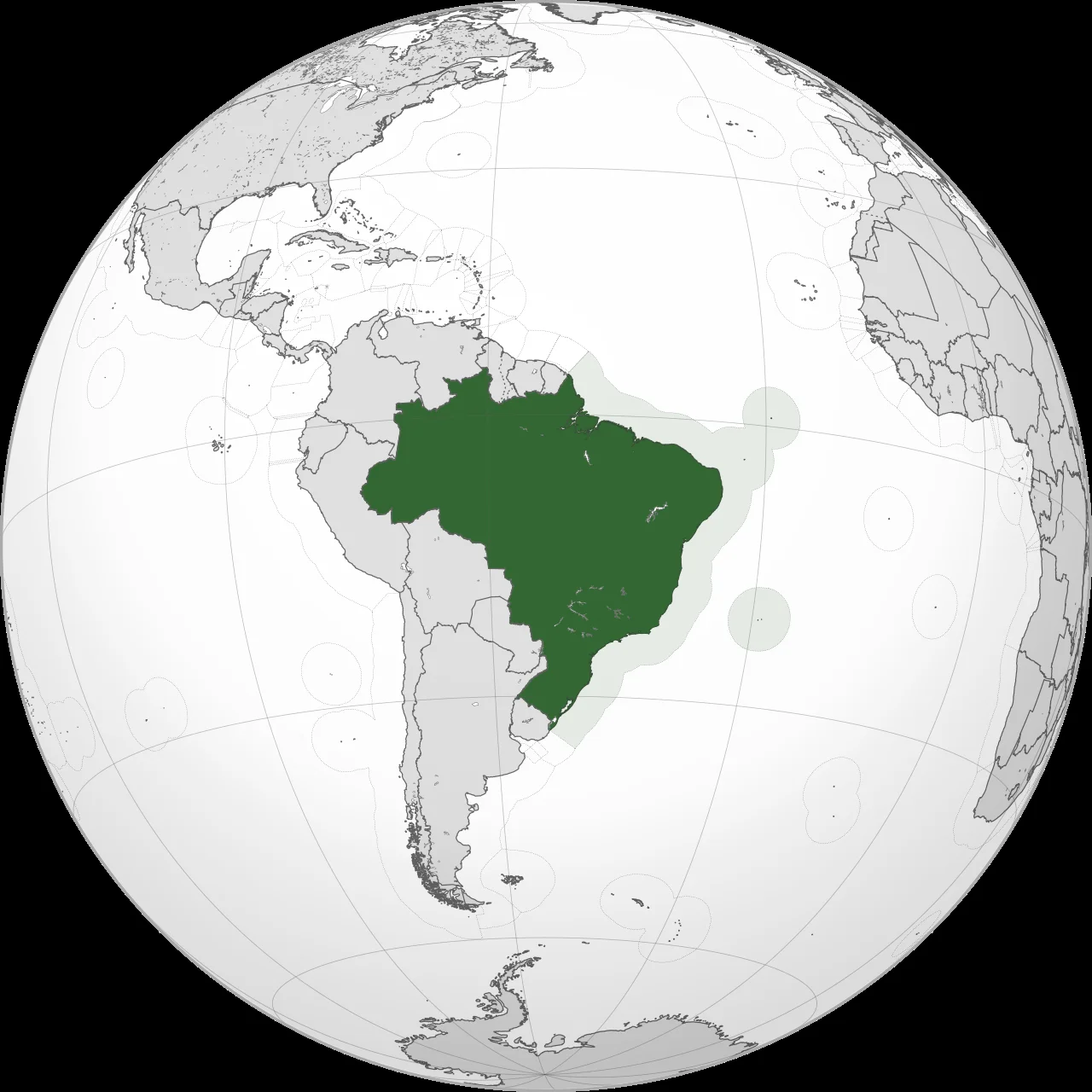 Portuguese Movement 'Estamos' Sparks Nigerian Trust Crisis — Economy Business