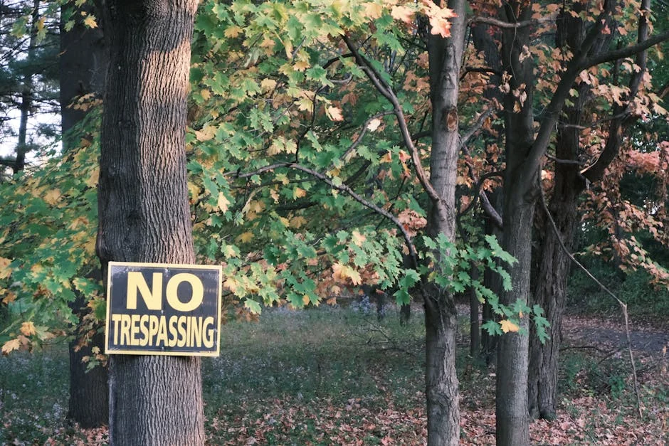 Presidente Warns of Global Instability's Impact on Portugal's Economy