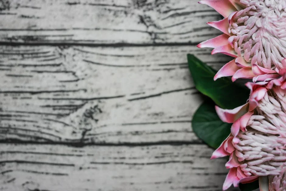 Proteas Slam T20 Format: What This Means for Africa’s Cricket Future — Economy Business