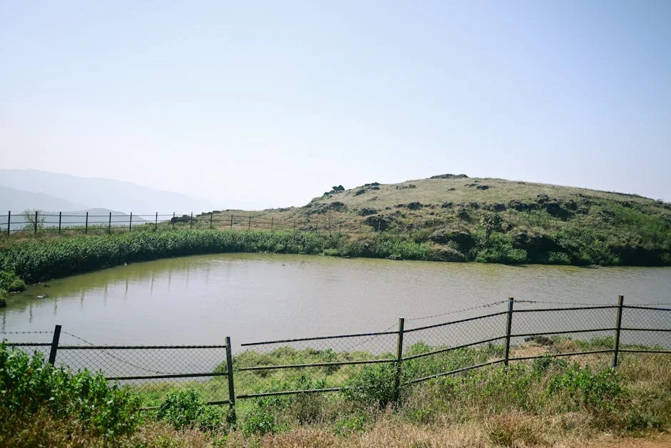 Protesters Slam Chikkamagaluru Authorities Over Denial of Urs Rituals — Here's What Happened