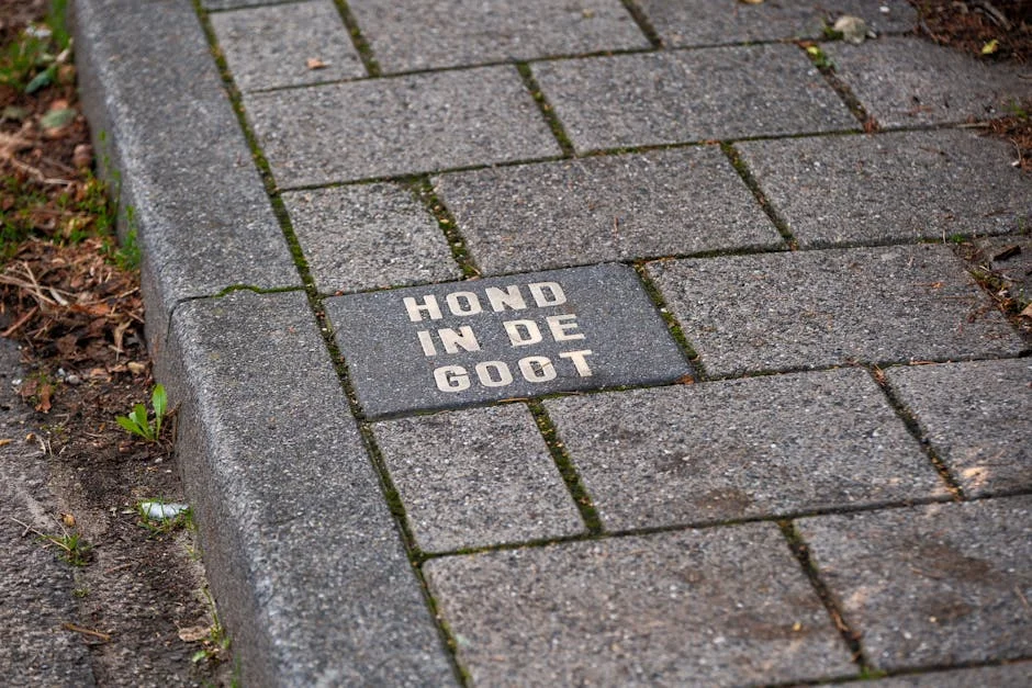 PSD Defends Constitutional Review Delay — Implications for Nigeria's Governance — Economy Business