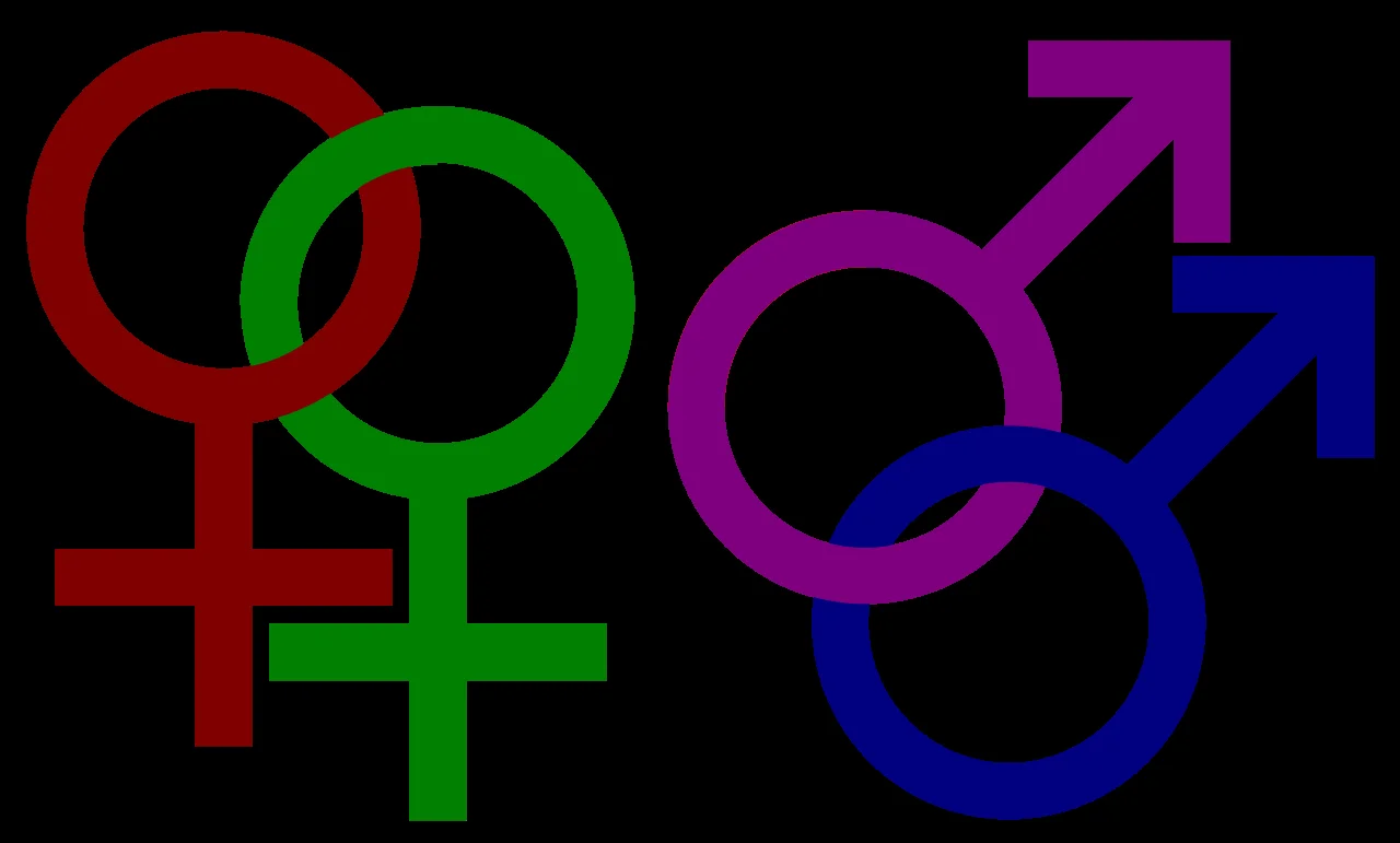 PSP Arrests Four and Seizes Weapons and Drugs in Guarda Operation — Economy Business